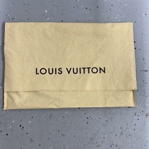 Louis Vuitton Purse Duster Bag